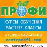Профи
